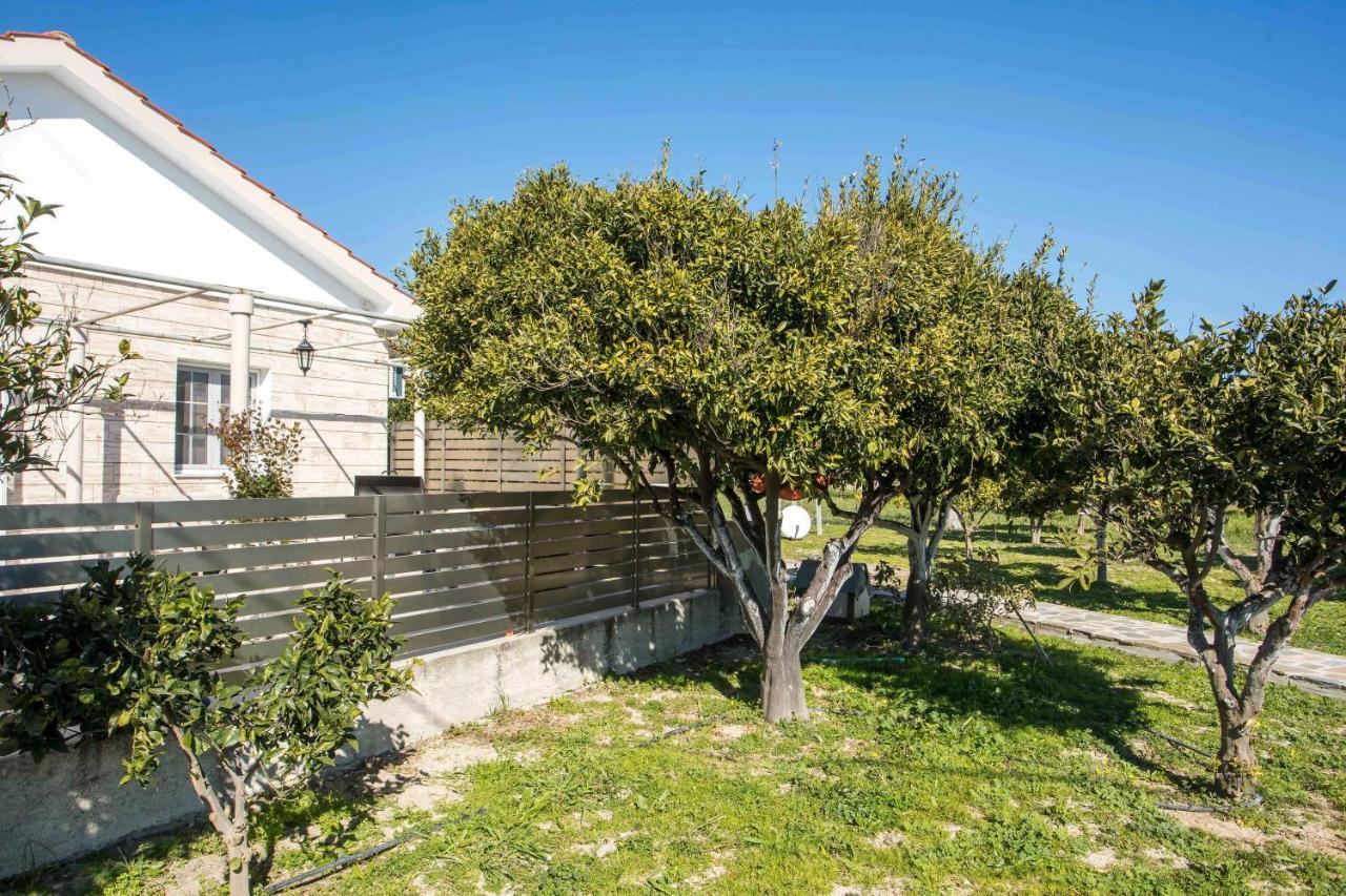 Faliraki Citrus Garden 外观 照片